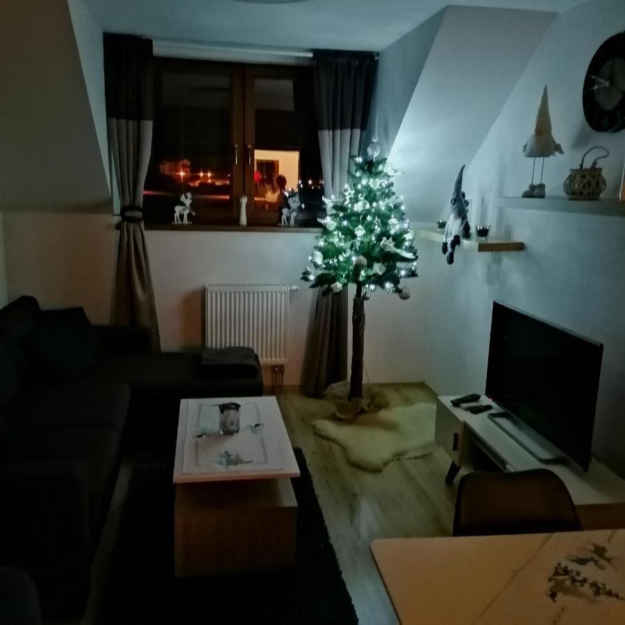 Apartman Angel ヴェルカー・ロムニツァ エクステリア 写真